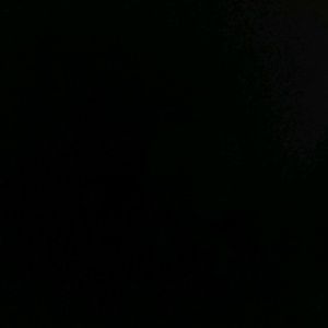 Meet your Posher, Calvin